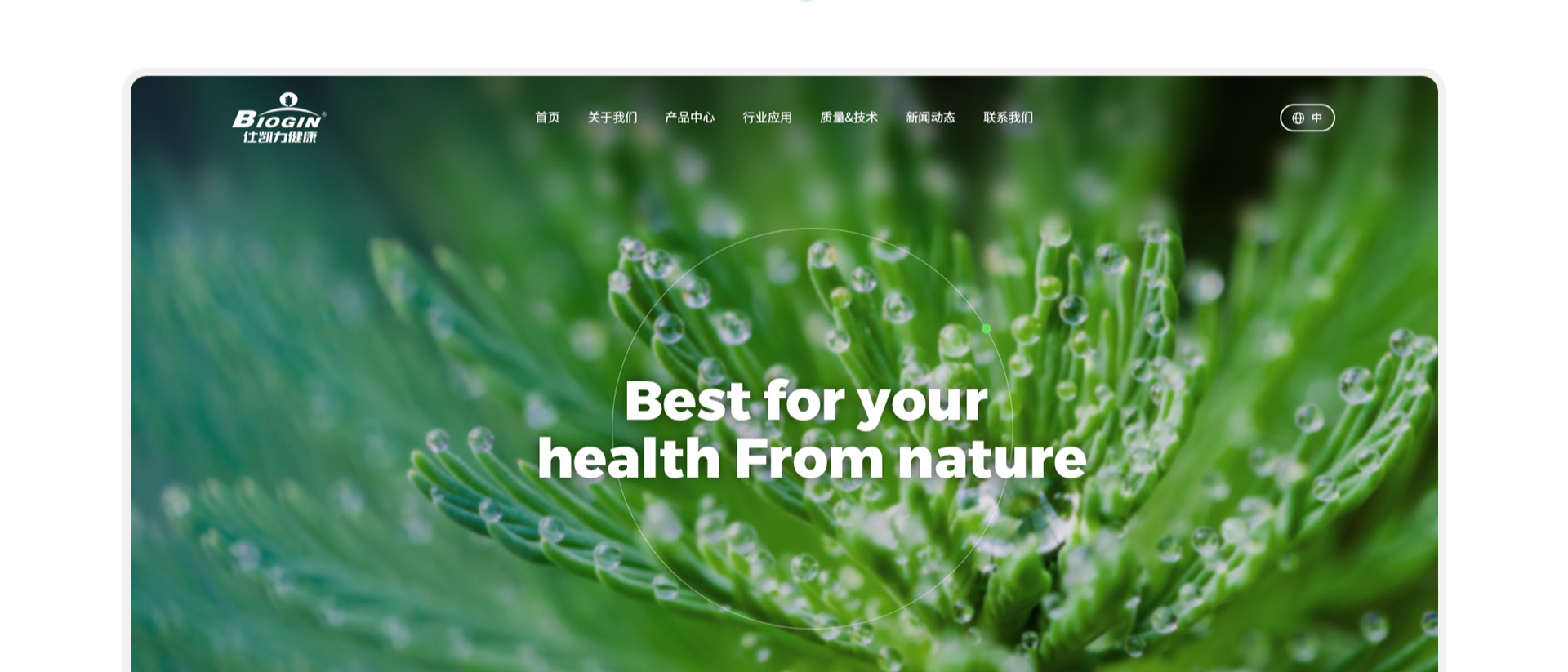 仕凯力品牌官网