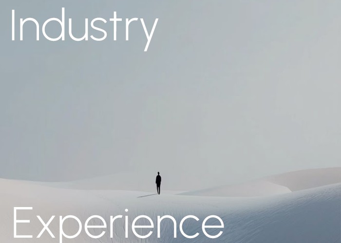 Industry Experience