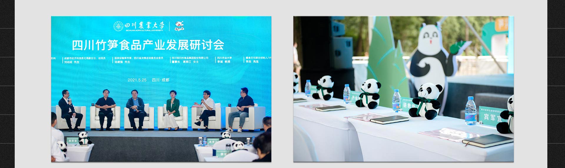 饭扫光集团大熊猫认养仪式