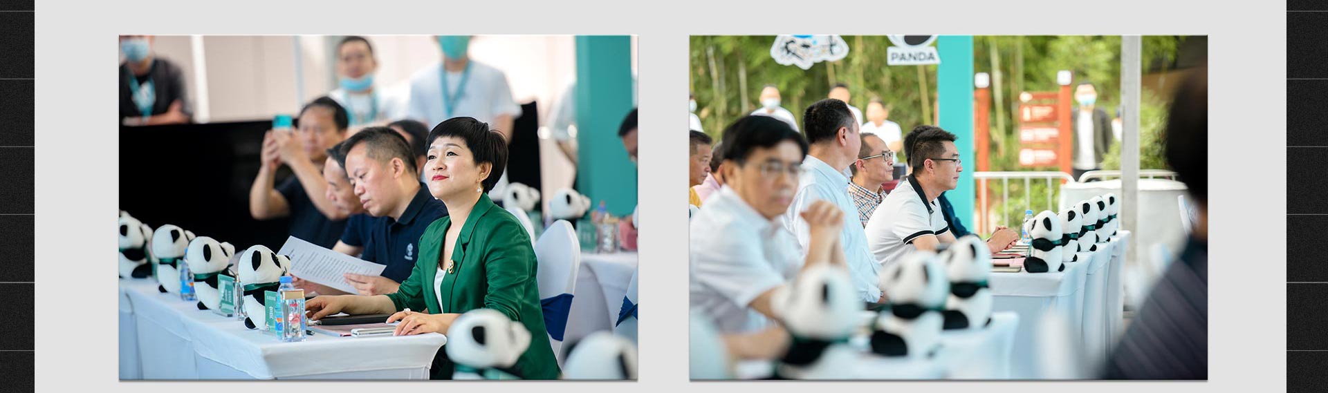 饭扫光集团大熊猫认养仪式