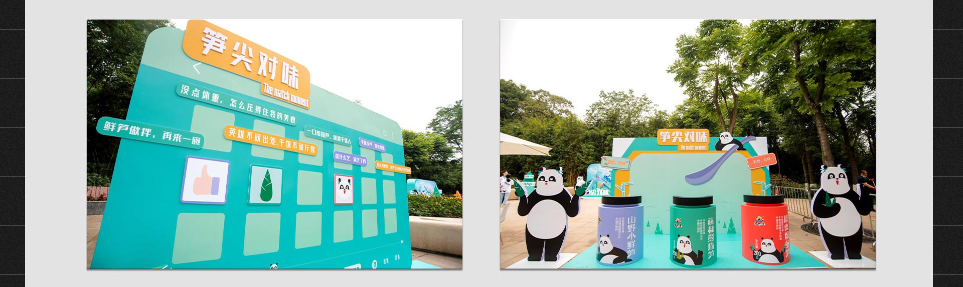 饭扫光集团大熊猫认养仪式