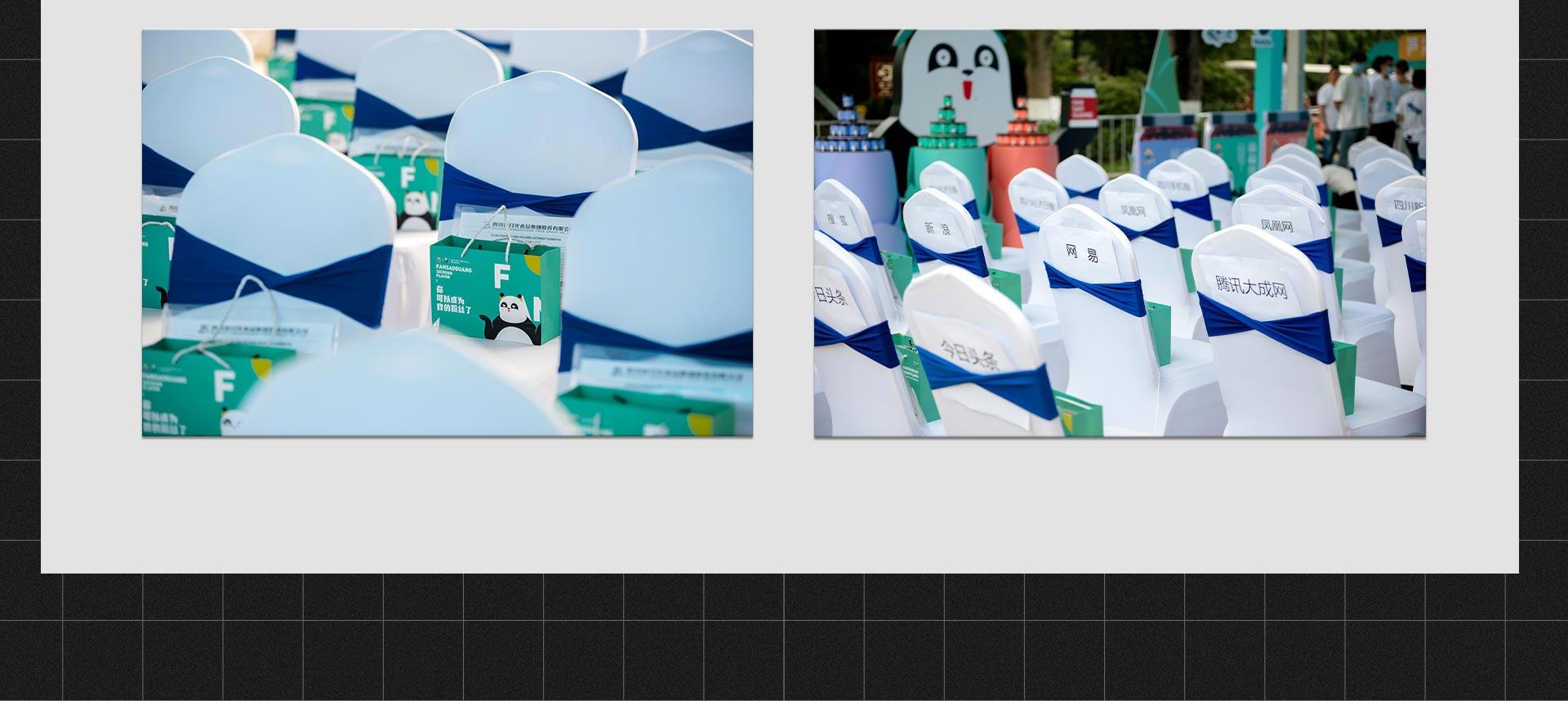 饭扫光集团大熊猫认养仪式