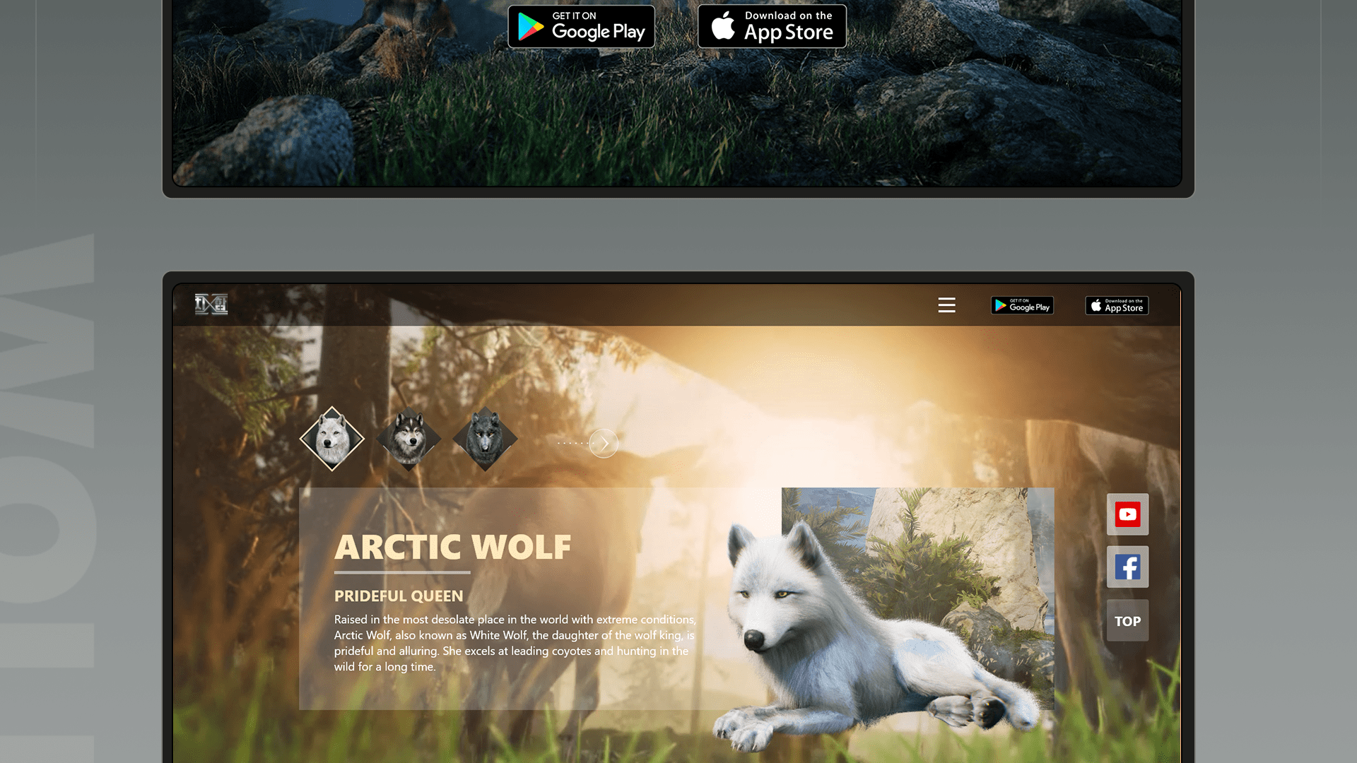 爱奇艺 | 天象互动海外游戏WOLF GAME官网