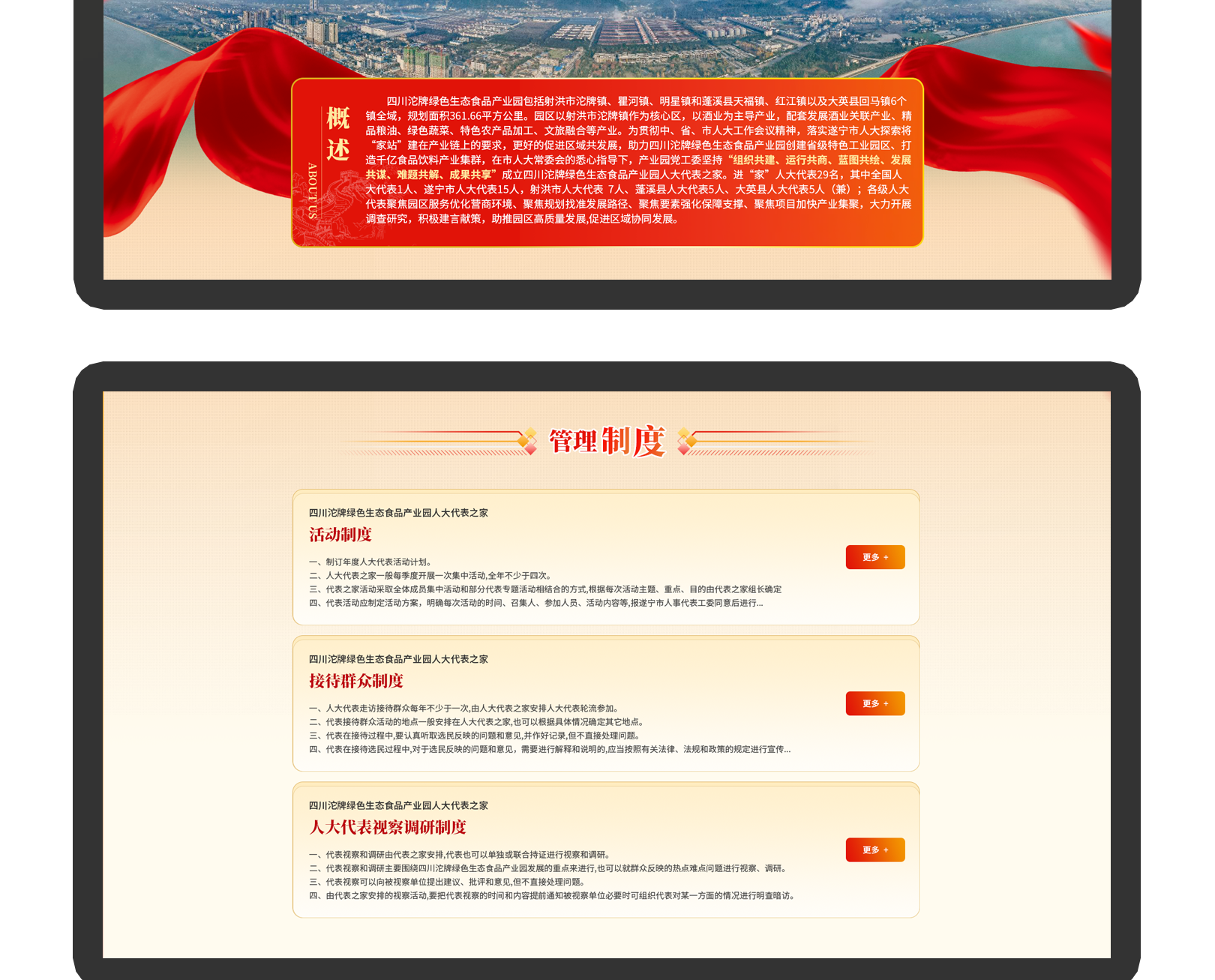 沱牌|人大代表之家UI设计