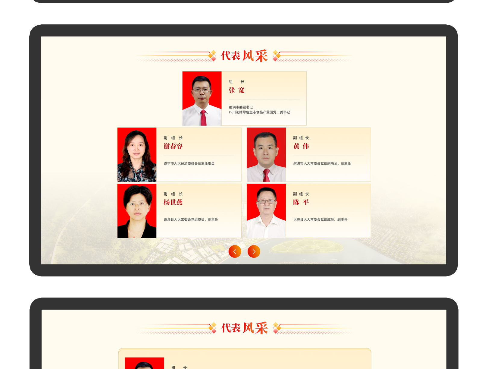 沱牌|人大代表之家UI设计