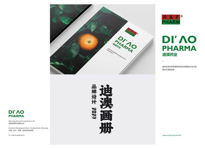迪澳药业画册