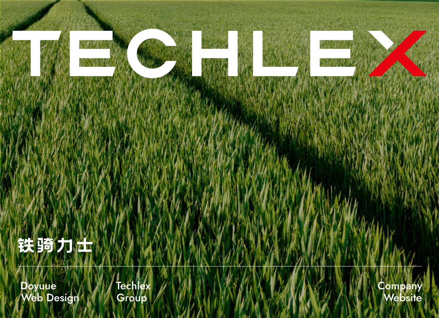 铁骑力士集团官网